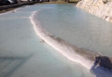 Rönesans Dönemi Venedik Mimarisi ve Fatih Portresine Yansımaları